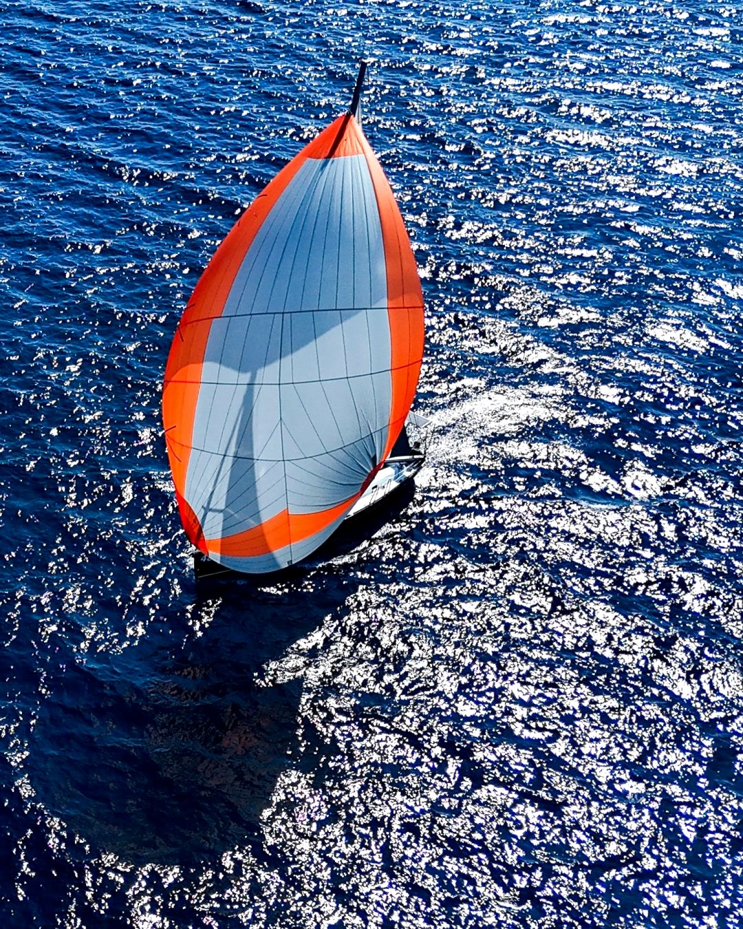 DJI_20250309123732_0416_D copy-min